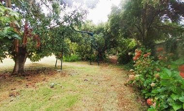 Full Tranquilidad A Pasos Del Centro Hacer La Vida Caminando