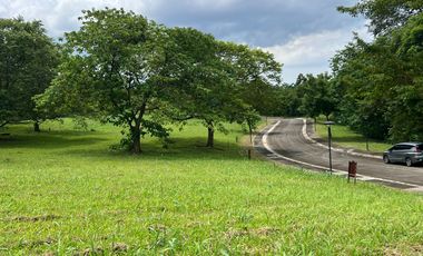 Resale Corner Lot at AYALA GREENFIELD ESTATES