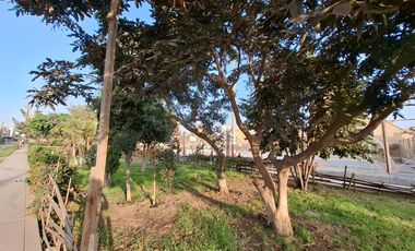 EN ALQUILER AMPLIO DEPARATAMENTO EN SMP, POR AV. EL SOL DE NARANJAL