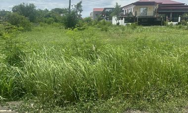 Lot for sale at Don Jose De Real Sub. Cabanatuan City