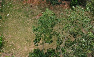 Prime Lot for sale in Peninsula de Punta Fuego, Nasugbu Batangas that is walking distance from the beach