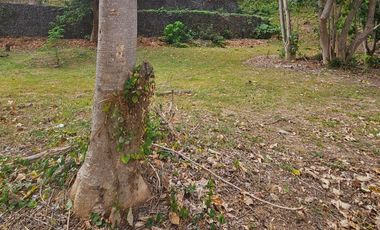 Prime Lot for sale in Peninsula de Punta Fuego, Nasugbu Batangas that is walking distance from the beach