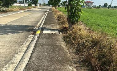 Lot for sale at Courtyard Lakewood Cabanatuan City
