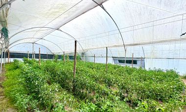 🏡 Oportunidad Única de Inversión Quinta Funcional para Eventos y Hospedaje en Tabacundo 🌿
