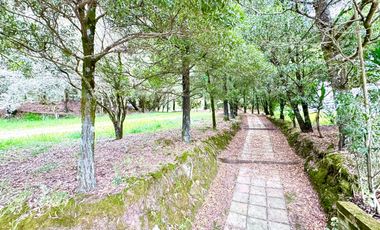 🏡 Oportunidad Única de Inversión Quinta Funcional para Eventos y Hospedaje en Tabacundo 🌿
