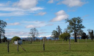 Vendo Parcelas De Agrado En Sector Collico, Río Bueno