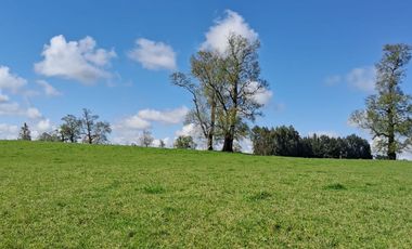 Vendo Parcelas De Agrado En Sector Collico, Río Bueno