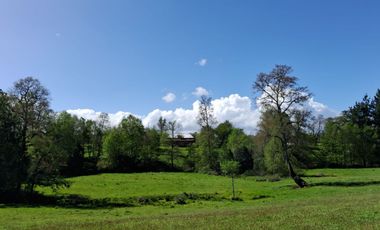 Vendo Parcelas De Agrado En Sector Collico, Río Bueno