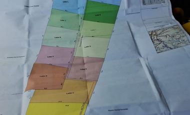 Vendo Parcelas De Agrado En Sector Collico, Río Bueno