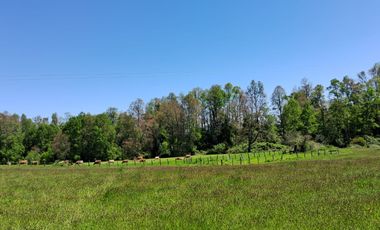 Vendo Parcelas De Agrado En Sector Collico, Río Bueno