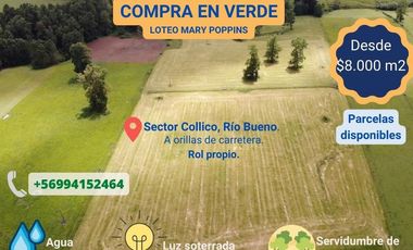 Vendo Parcelas De Agrado En Sector Collico, Río Bueno