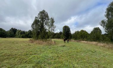 Vendo Campo En Sector Tronlico, Los Ríos