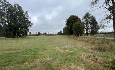 Vendo Campo En Sector Tronlico, Los Ríos