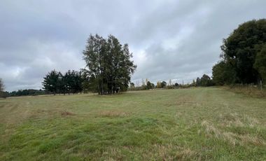 Vendo Campo En Sector Tronlico, Los Ríos