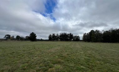 Vendo Campo En Sector Tronlico, Los Ríos
