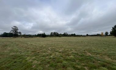 Vendo Campo En Sector Tronlico, Los Ríos
