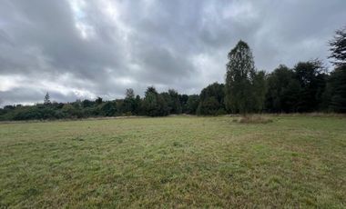 Vendo Campo En Sector Tronlico, Los Ríos