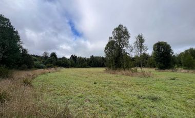 Vendo Campo En Sector Tronlico, Los Ríos