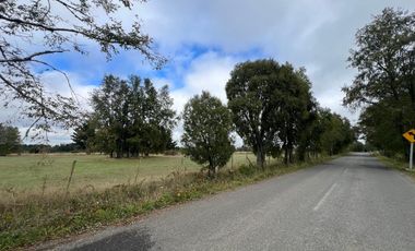Vendo Campo En Sector Tronlico, Los Ríos