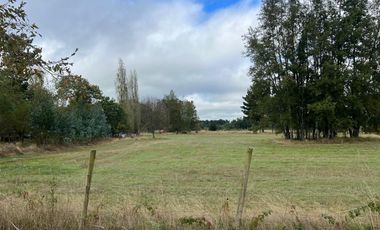 Vendo Campo En Sector Tronlico, Los Ríos