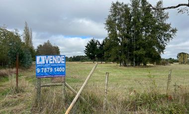 Vendo Campo En Sector Tronlico, Los Ríos