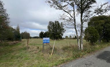 Vendo Campo En Sector Tronlico, Los Ríos