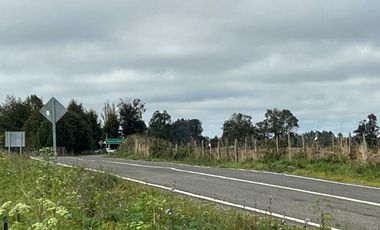 Vendo Campo En Sector Tronlico, Los Ríos