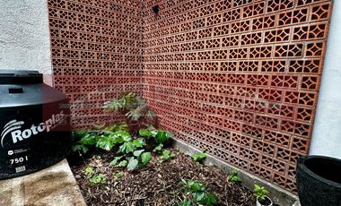 Casa en renta en Orizaba, Roma Norte, Cuauhtémoc, CDMX.