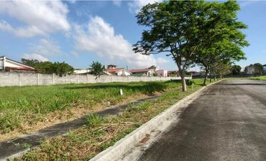 🔴FIRE SALE - Residential Lot For Sale In Alabang West Village Along Daang Hari Road
