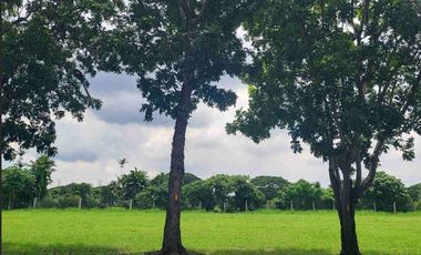 Prime Vacant Lot For Sale In Manila Southwoods Phaase 3 Carmona Cavite 12.5 KM From Ayala Alabang