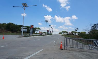 300 sqm. Residential Lot for Sale in Orchard Residences, via Villar Avenue