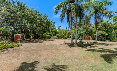 ALQUILER DE FINCA PALMERAS TEL3024205468 EN LA VEGA