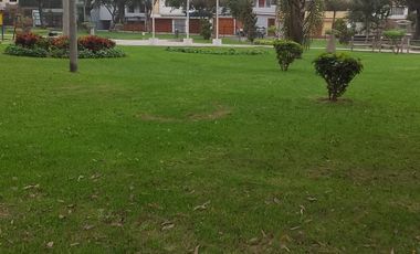 ALQUILO DEPARTAMENTO 1er PISO AT 230 M2 CON ESTACIONAMIENTO FRENTE A UN  PARQUE EN URBANIZACION RESIDENCIAL SIRIOS DISTRITO DE LA MOLINA