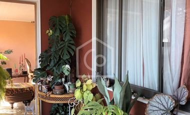 Se vende terreno 5.6HA con casa y cabaña, Km33, El Molle, Valle de Elqui