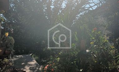 Se vende terreno 5.6HA con casa y cabaña, Km33, El Molle, Valle de Elqui