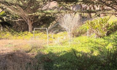 Se vende terreno 5.6HA con casa y cabaña, Km33, El Molle, Valle de Elqui