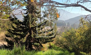 Se vende terreno 5.6HA con casa y cabaña, Km33, El Molle, Valle de Elqui