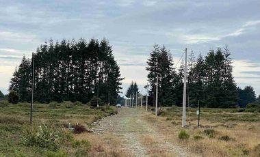 Se Venden Parcelas a 1 km. del Aerpuerto El Tepual - Puerto Montt