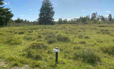 Se Venden Parcelas a 1 km. del Aerpuerto El Tepual - Puerto Montt