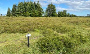 Se Venden Parcelas a 1 km. del Aerpuerto El Tepual - Puerto Montt