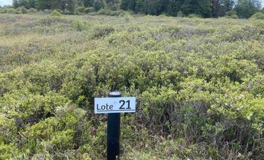 Se Venden Parcelas a 1 km. del Aerpuerto El Tepual - Puerto Montt