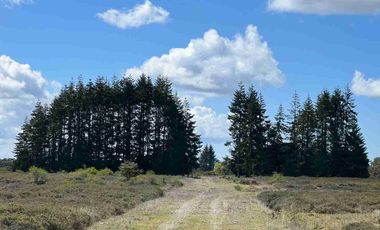 Se Venden Parcelas a 1 km. del Aerpuerto El Tepual - Puerto Montt