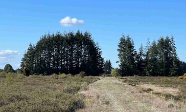 Se Venden Parcelas a 1 km. del Aerpuerto El Tepual - Puerto Montt
