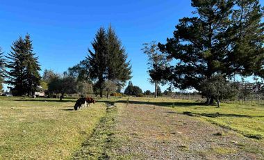 Se Venden Parcelas a 1 km. del Aerpuerto El Tepual - Puerto Montt