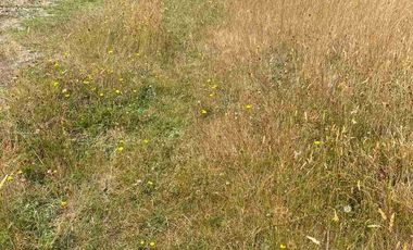 Se Venden Parcelas a 1 km. del Aerpuerto El Tepual - Puerto Montt