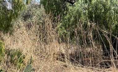 SE VENDE TERRENO DE 389 M2 SAN LUIS TLAIXPAN MOLINO DE LAS FLORES TEXCOCO ESTADO DE MEXICO