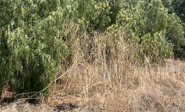 SE VENDE TERRENO DE 389 M2 SAN LUIS TLAIXPAN MOLINO DE LAS FLORES TEXCOCO ESTADO DE MEXICO
