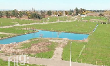 Venta Sitios, rol propio, Laguna y Entorno natural, Región Ñuble