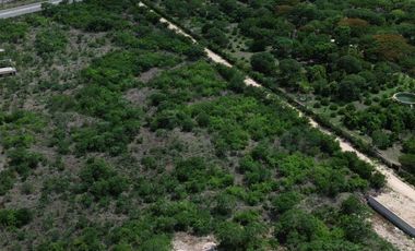 Terreno en Mérida enganche desde $80,000