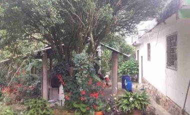 VENDO FINCA EN FUSAGASUGA VEREDA LA TRINIDAD